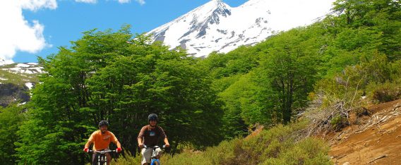 Conservador de Bienes Raíces de Bulnes